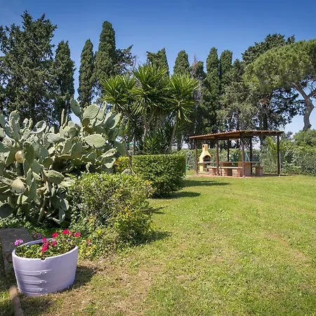 Apartment Podere Nuti-monolocale L'eccezione Cecina (Livorno)